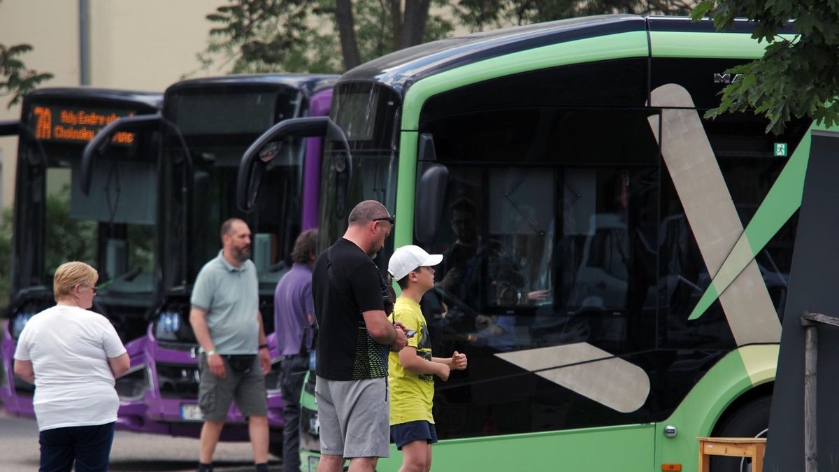 Buszok testközelből: családi programokkal várták az érdeklődőket Haszkovó-fordulóban (galéria)