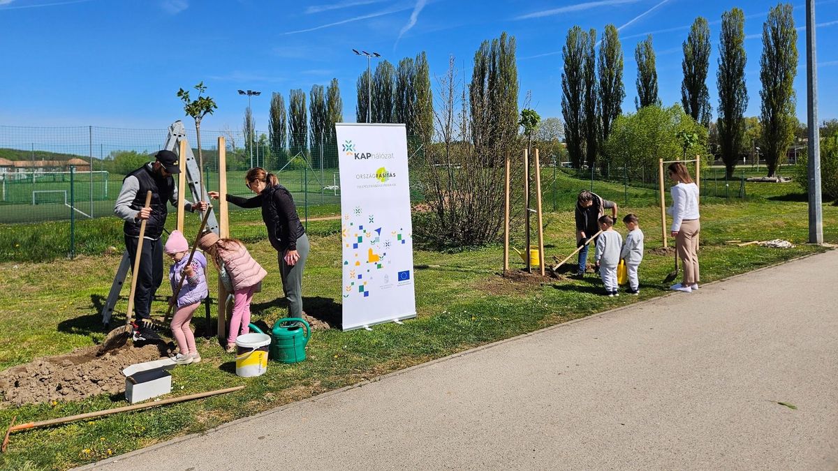 A természet védelme közös felelősség – erről szól a Madarak és Fák Napja (galéria)