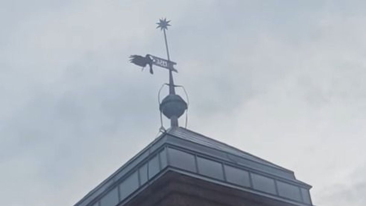 Balatonalmádi szárnyas Don Quijotéja, aki nap mint nap megküzd a gonosz szélirányjelzővel (videó)