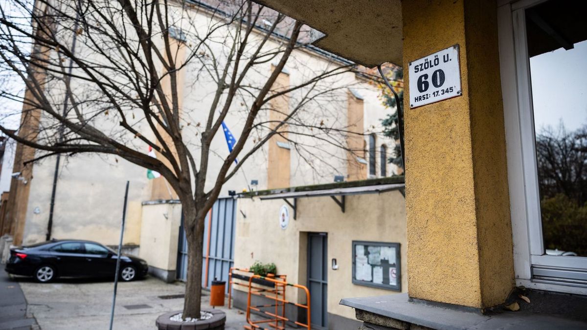 Szőlő utca- és Zsolti bácsi-ügy: kiderülhet, ki áll az álbotrány mögött (videó)