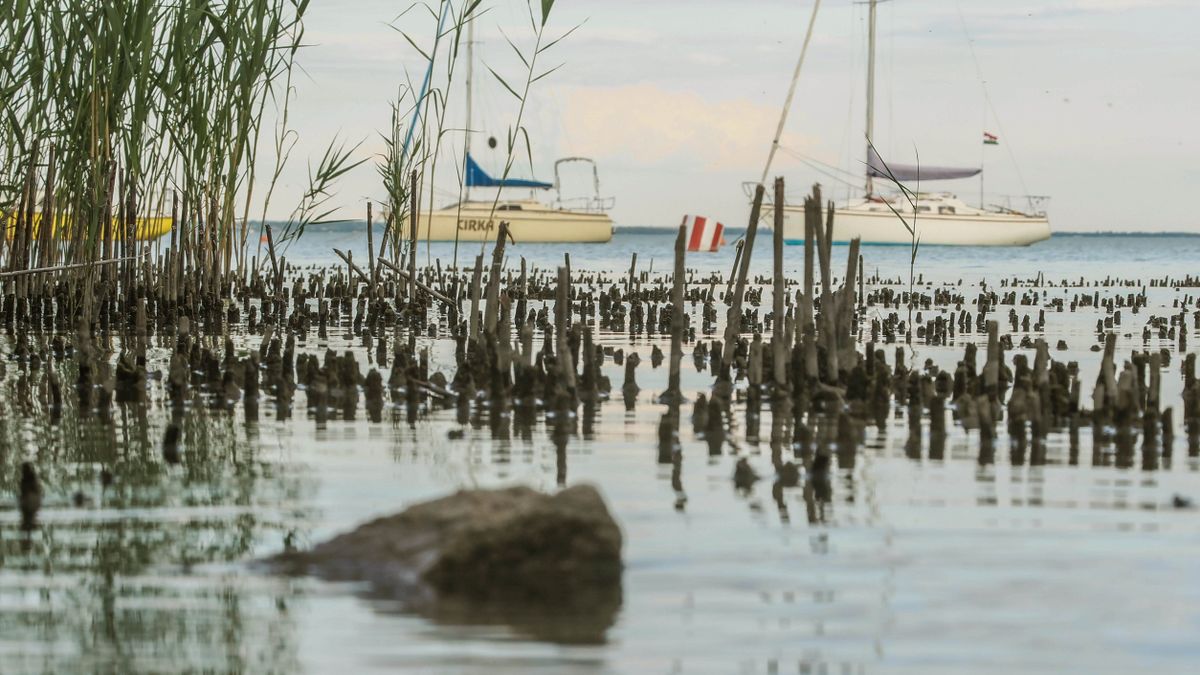 Nem elég, hogy szép a Balaton: erősebb márkát és profi turizmusmarketinget sürgetnek