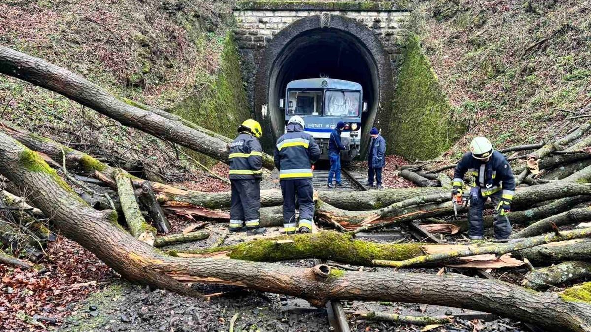 Megszólalt a GYSEV a Bakonyban rekedt iskolások ügyében: ezért tartott órákig a fakidőlés elhárítása +helyszíni fotó