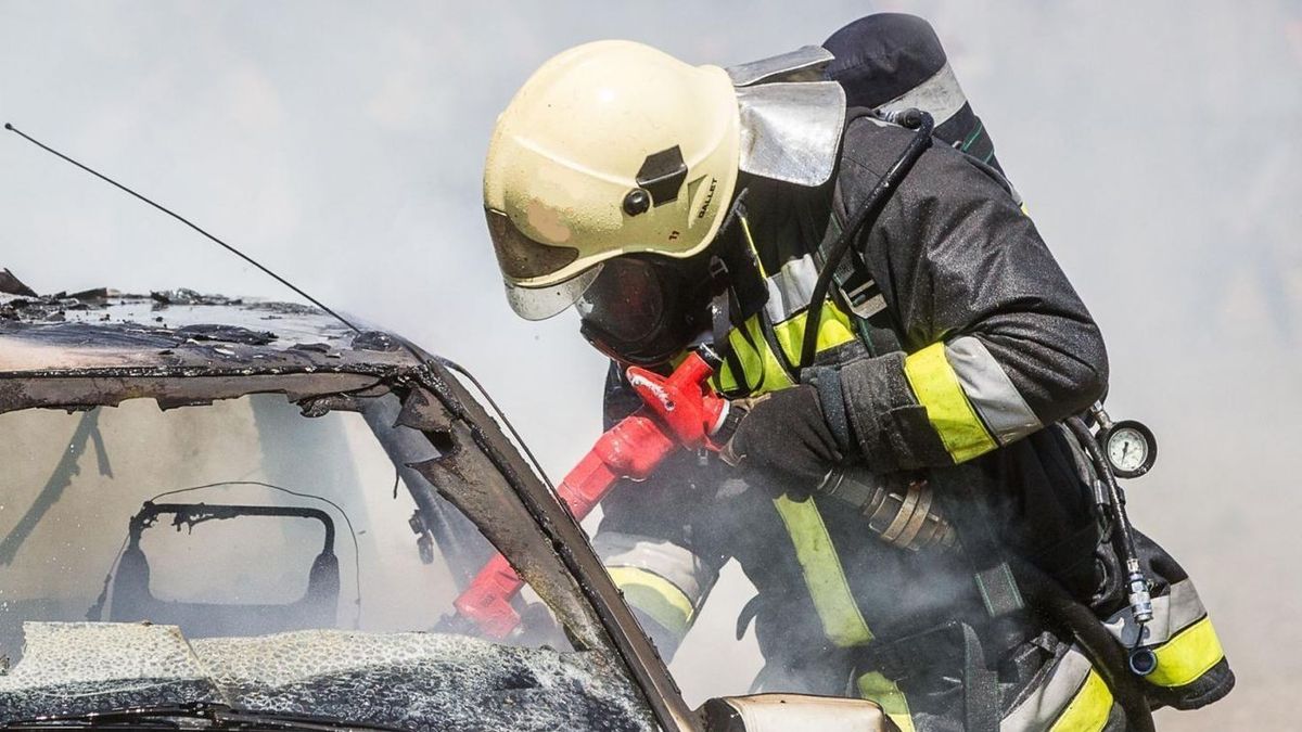 Őzmentés, autótűz, karambol: pörgős napjuk volt a megye tűzoltóinak