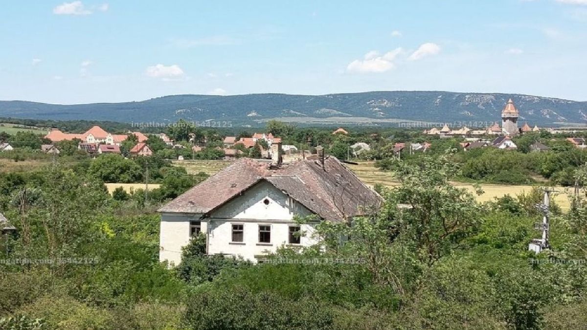 Titkos vízerőművet rejt a Bakony kapuja, fotókon a filléres Séd-parti ingatlan (galéria)