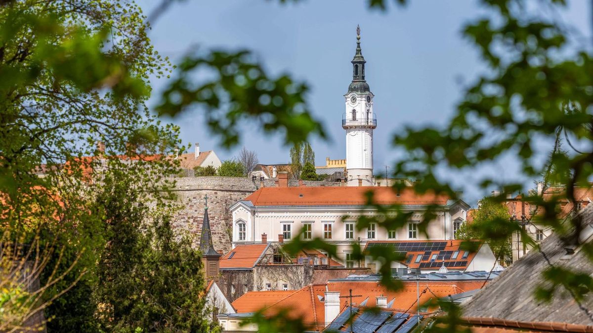 Jó hír száz veszprémi fiatalnak: döntöttek az „Otthon Veszprémben” program pályázatairól