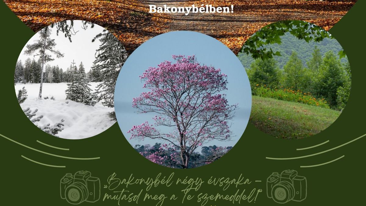 Különleges felhívás a Bakony és a fotózás szerelmeseinek