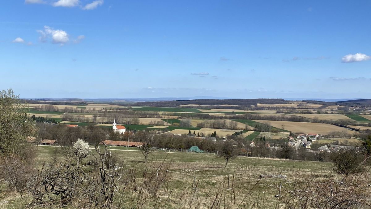 Kalandparkká alakítják át egy bakonyi falu szélét, mutatjuk, milyen próbahelyeket építenek (fotók)