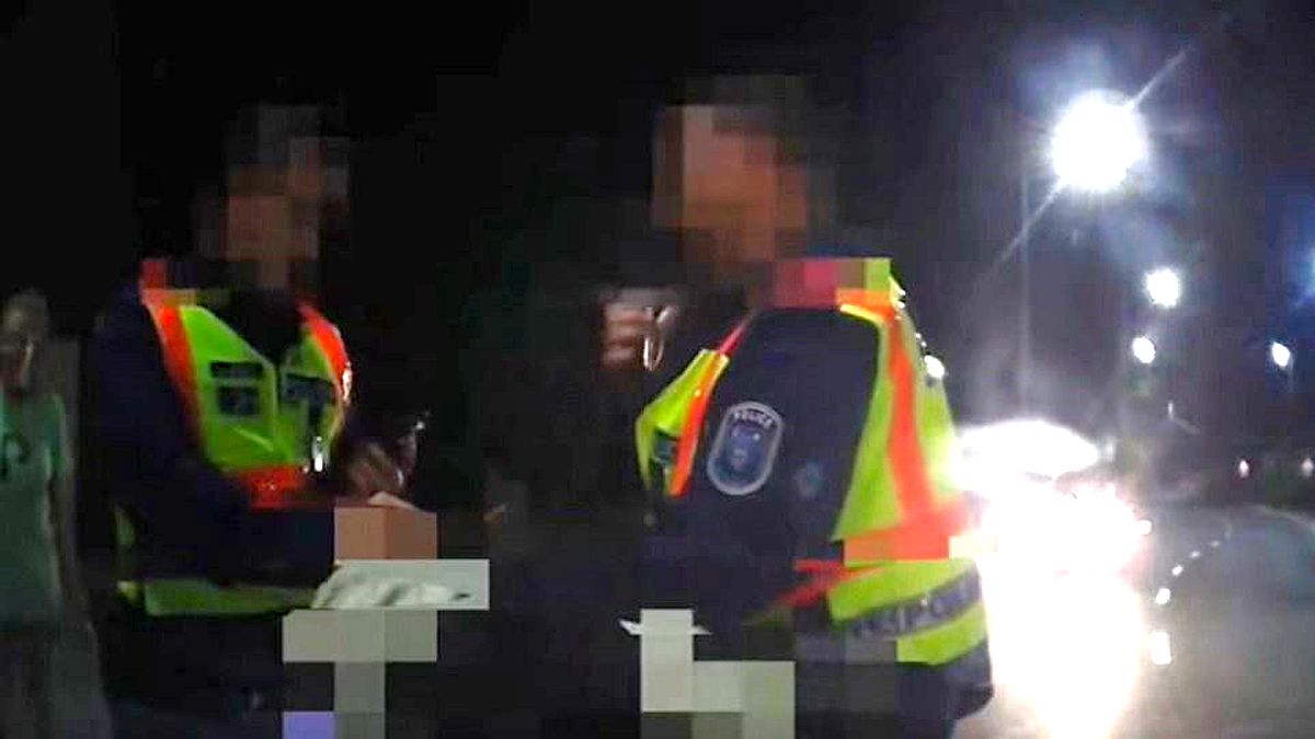 Lecsapott a Balaton-parti besurranó, félmilliós kárt okozott + videó