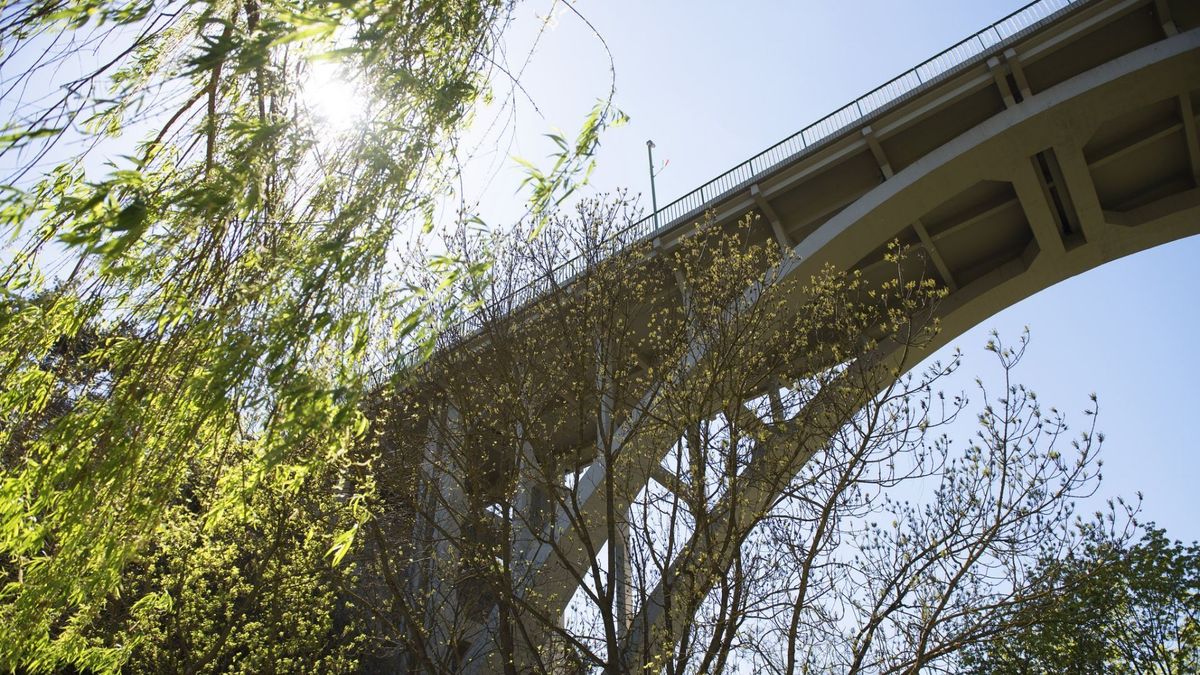 A járókelők akadályoztak meg egy újabb tragédiát a veszprémi viadukton