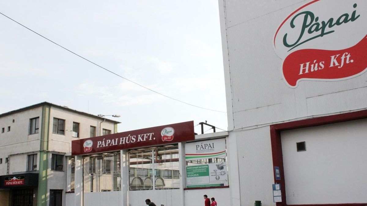 Javultak a számok, de még mindig tetemes a veszteség a Pápai Húsnál