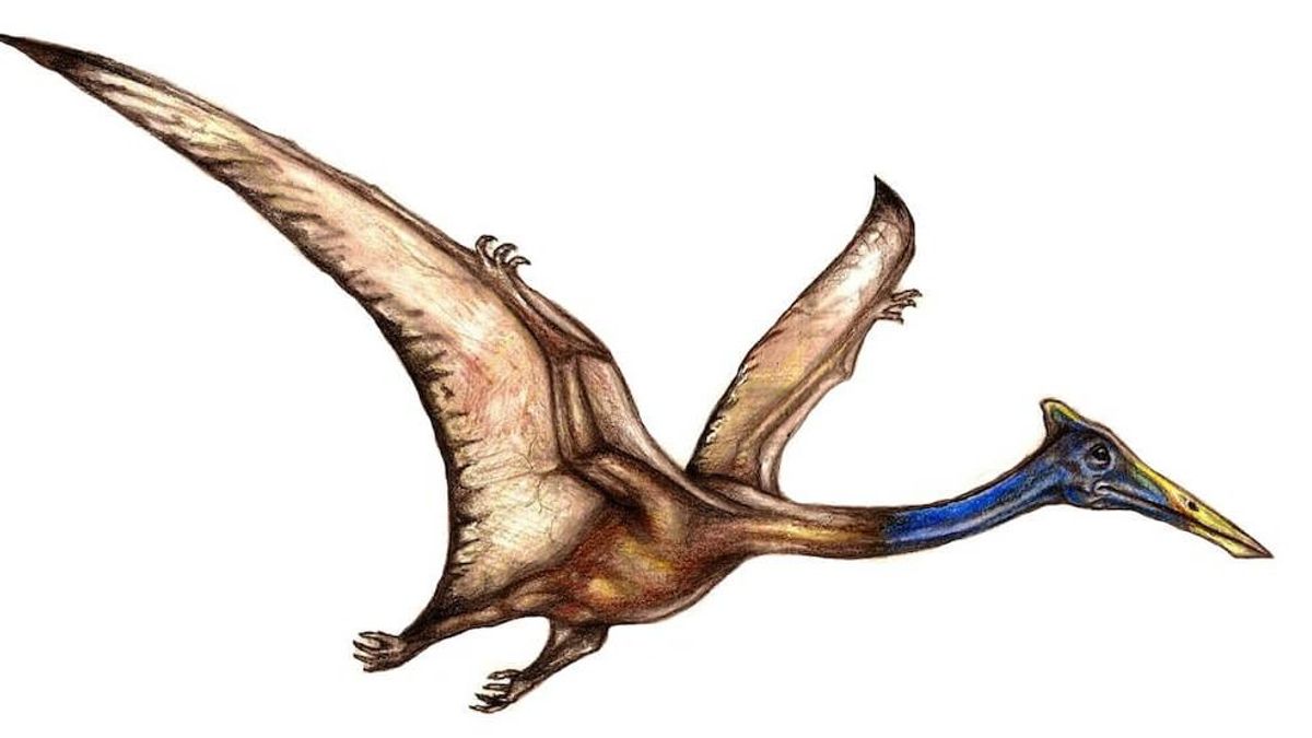 Bemutatkozik a Bakony sárkánya is a dinoszaurusz-lelőhelyen, már fogynak a helyek (képgaléria)