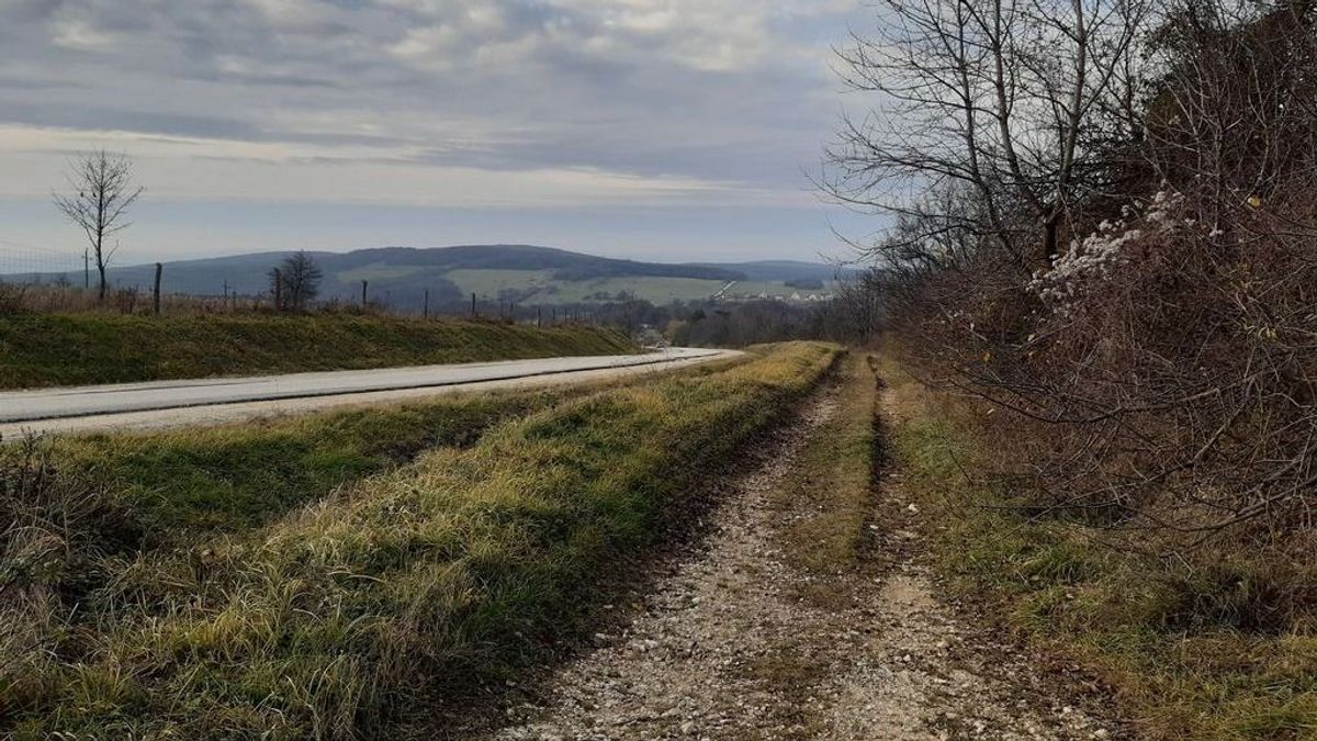 Településeket zártak el egymástól a Bakonyban, a munkába járók még nem lélegezhetnek fel