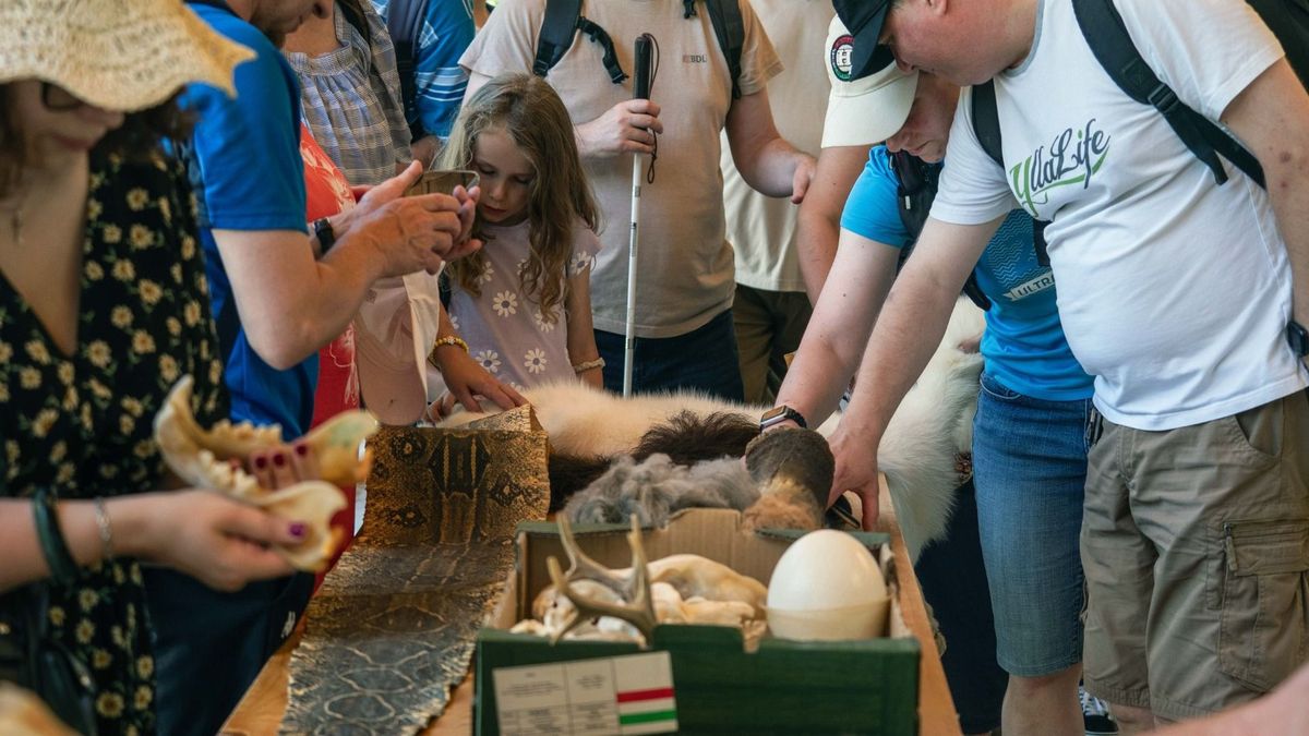 Ritka pillanatok a Veszprémi Állatkertben: több állatot is megsimogathattak a vendégek (+ galéria)
