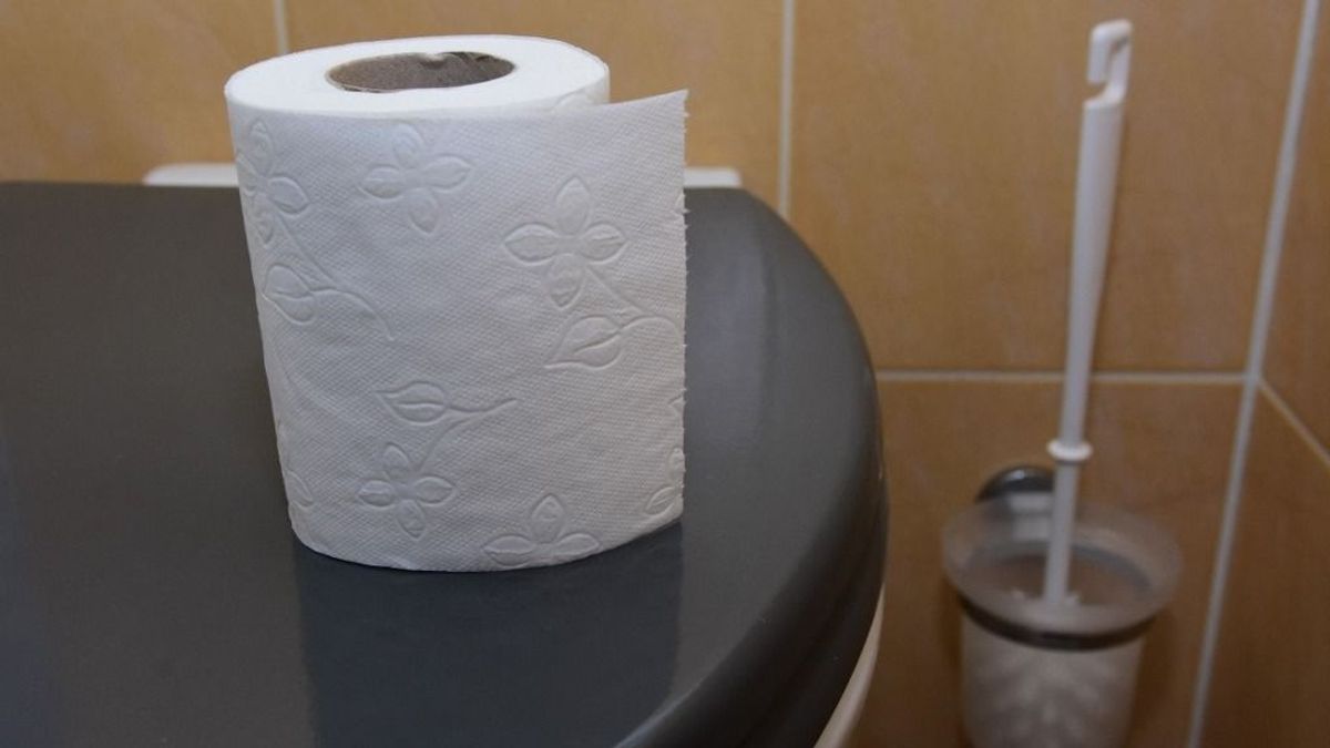 Németországban még erre is van szabvány – WC-teszt, ami egészen abszurd