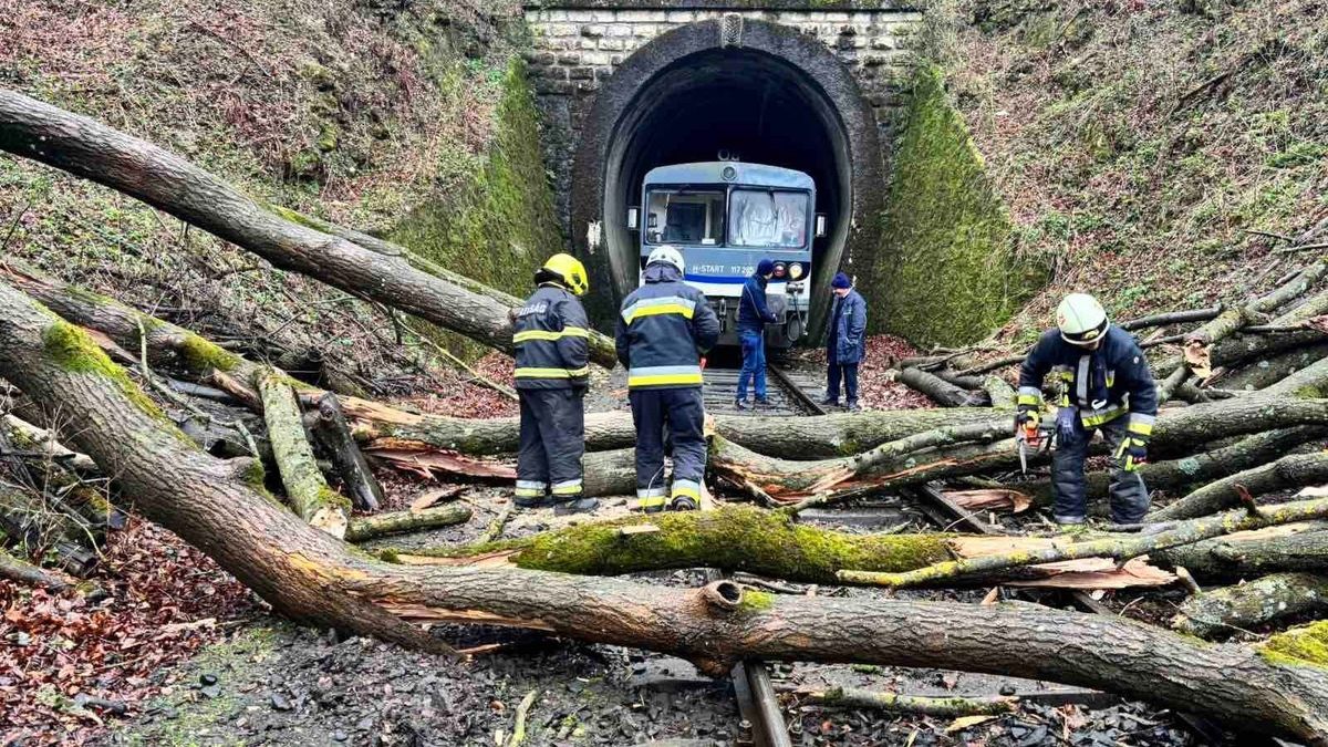 Fakidőlés bénította a Győr–Veszprém vonalat: vonatok álltak le, gyerekek gyalogoltak a Bakonyban