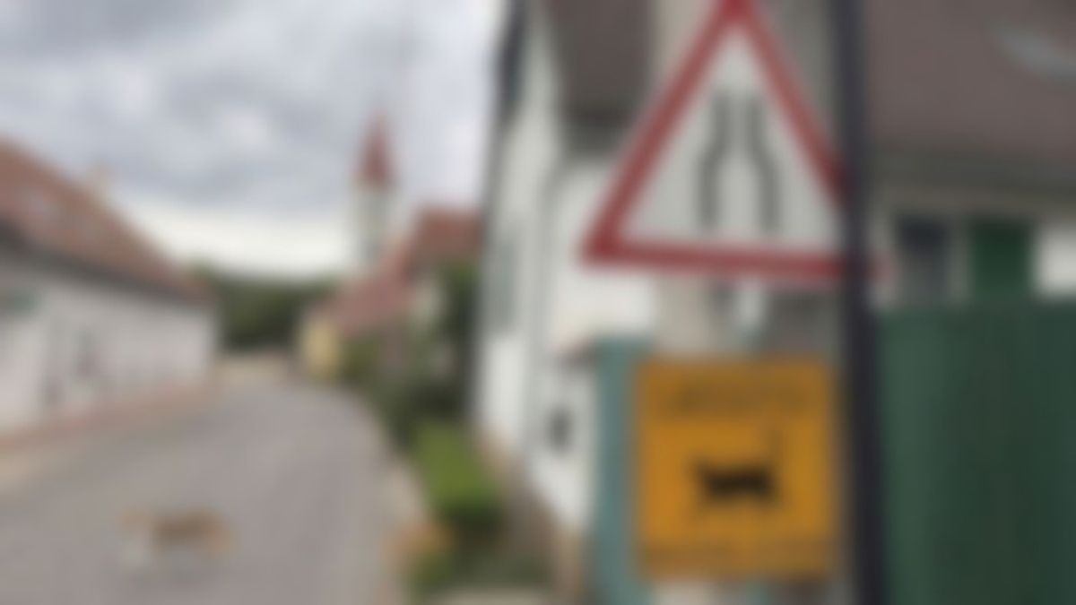 Új jelzőtábla került ki a Balatonnál a sorozatos gázolások miatt, így néz ki (fotók + videó)