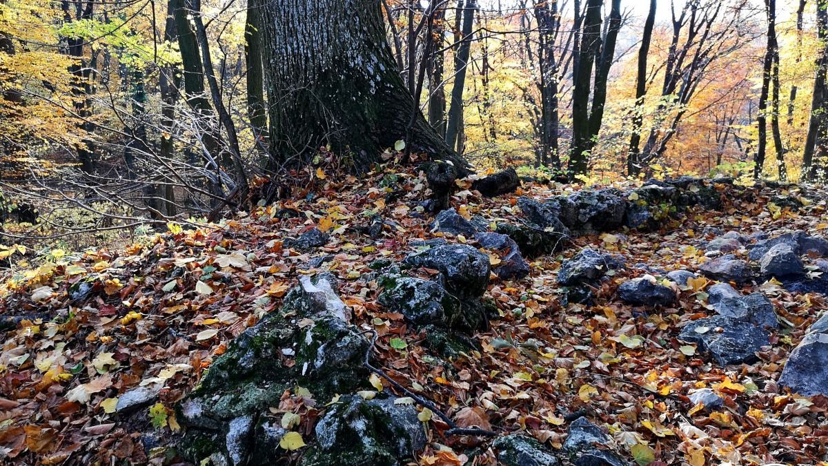Árpád-kori vár romját takarja a Bakony, ezt a helyiek is kevesen ismerik (+ fotók)