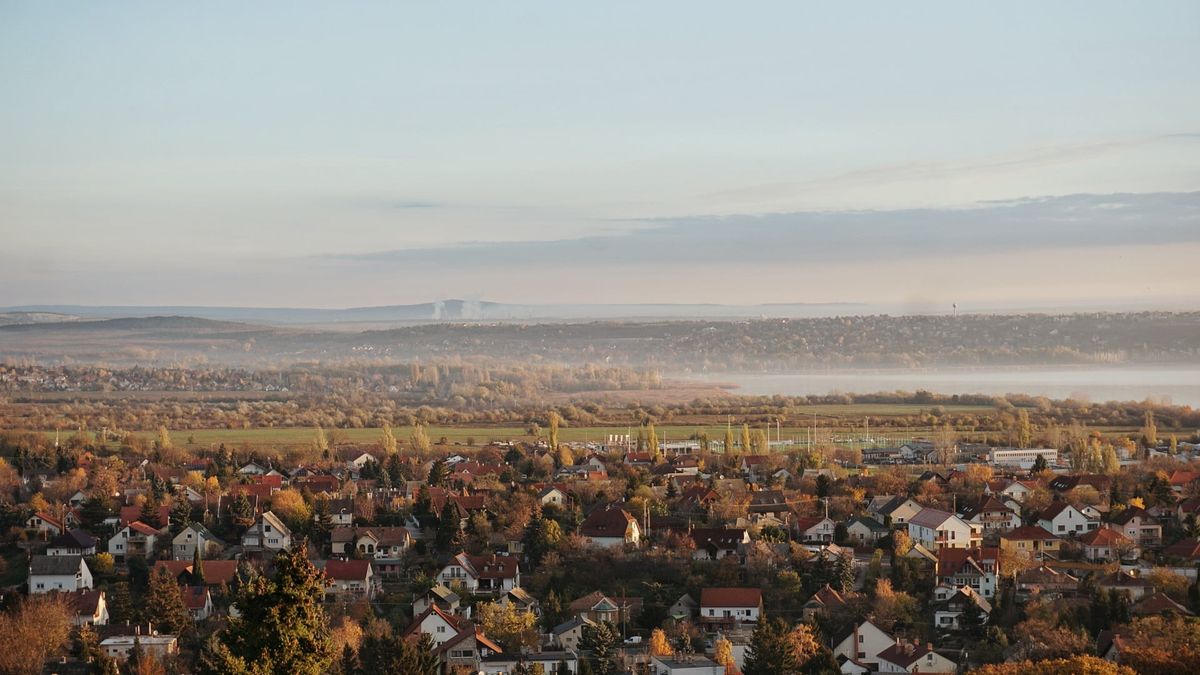 Felvették a harcot a Balatonnál: így védekeznek a vaddisznók ellen