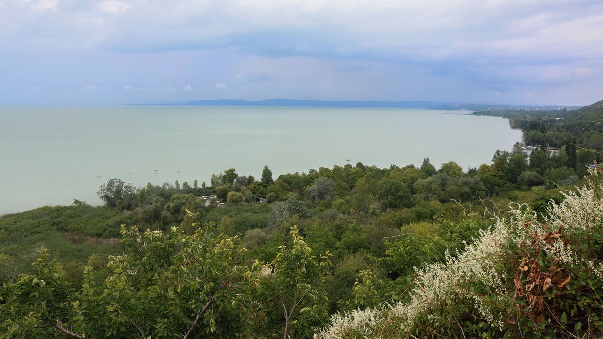 Súlyos figyelmeztetést küldtek a kutatók: nem ott dől el a Balaton jövője, ahol sokan gondolják