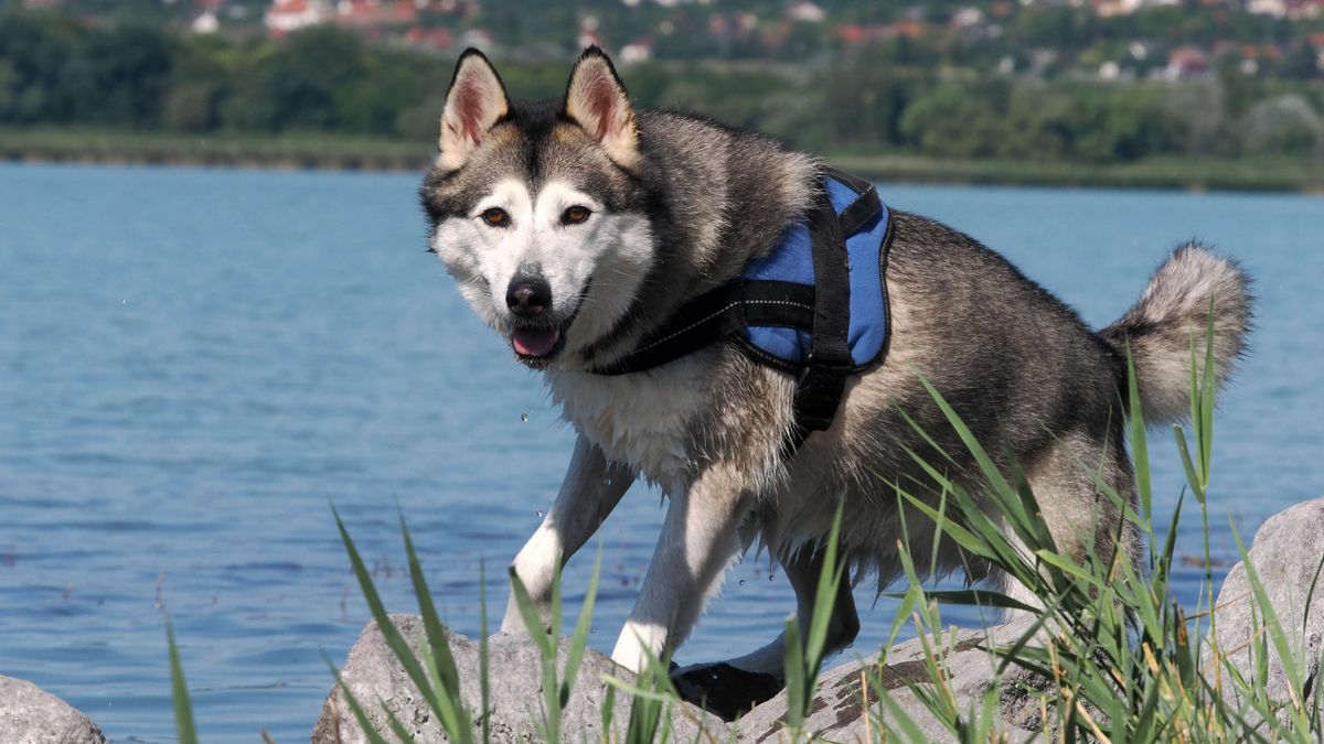 A tegnapi vihar után ismét nyárias idő érkezett Balatonra