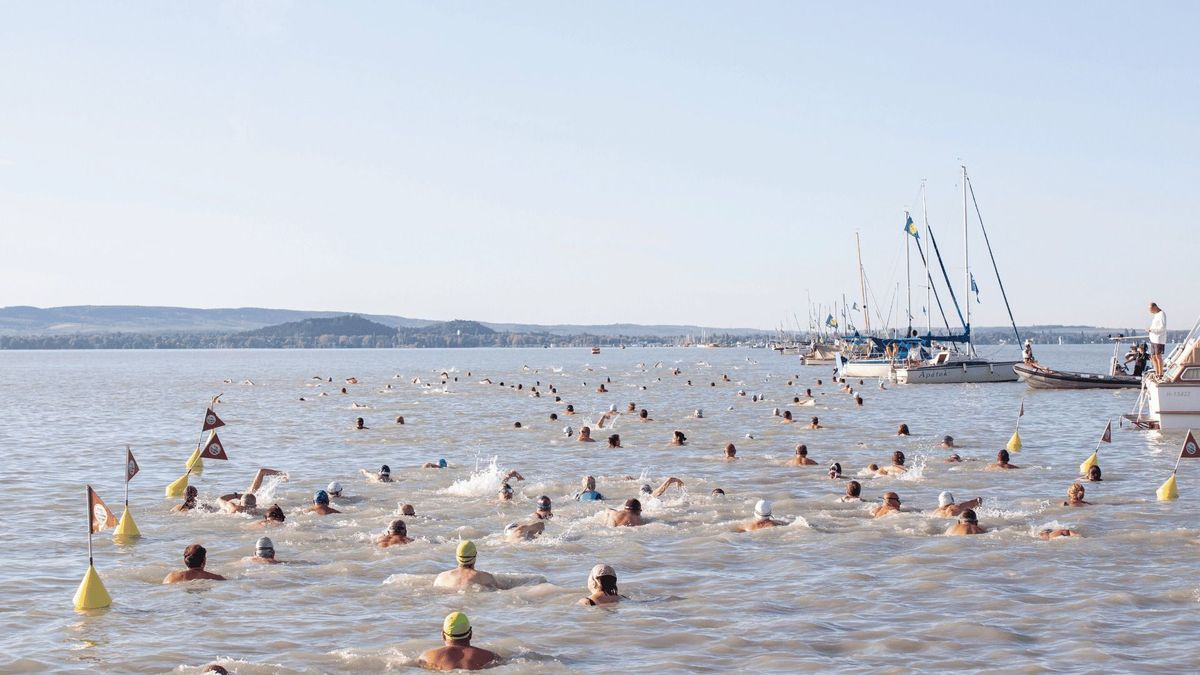 44. Lidl Balaton-átúszás: rohamosan fogynak a helyek az eseményre