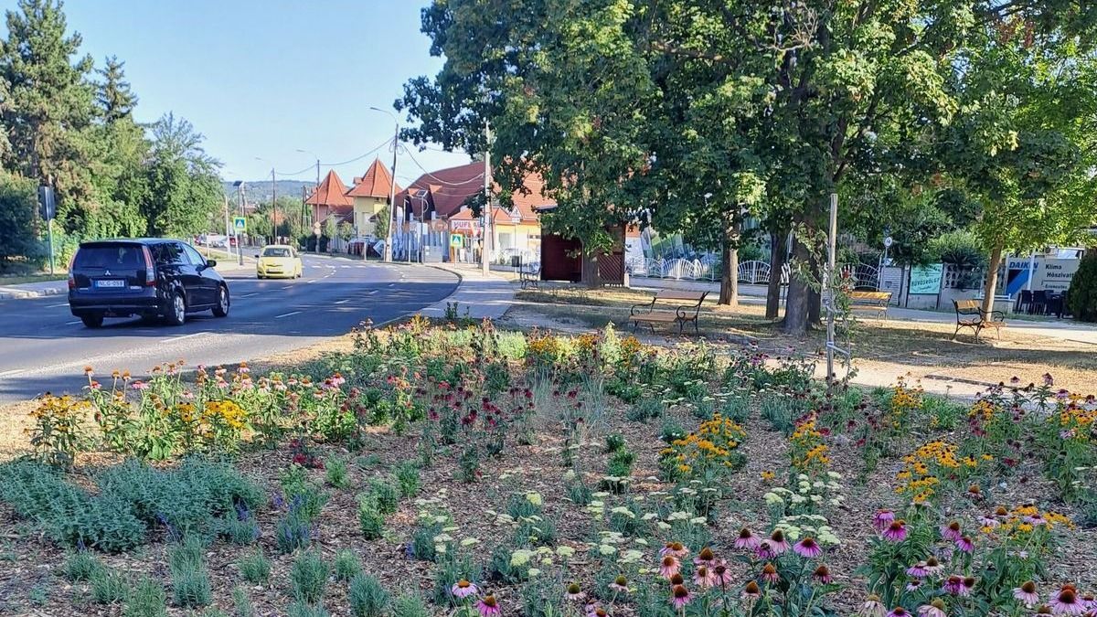 Elindult a közösségi költségvetés nyertes ötleteinek megvalósítása Balatonalmádiban