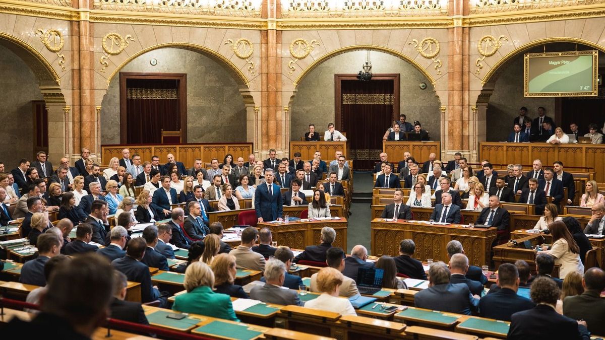 Elfogadták az alaptörvény módosítását, az államfő szerint nyomásgyakorlás zajlik
