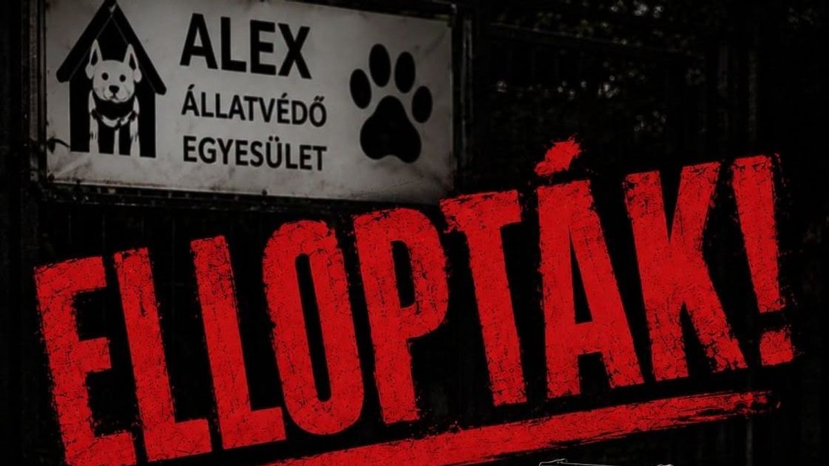 Ellopták az egyik menhely kukáját – Az állatok ellátását is veszélybe sodorta a pofátlan cselekedet