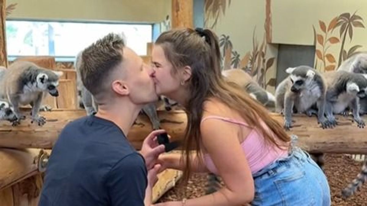 Lánykérés gyűrűsfarkú makik között a Veszprémi Állatkertben (+ videó)