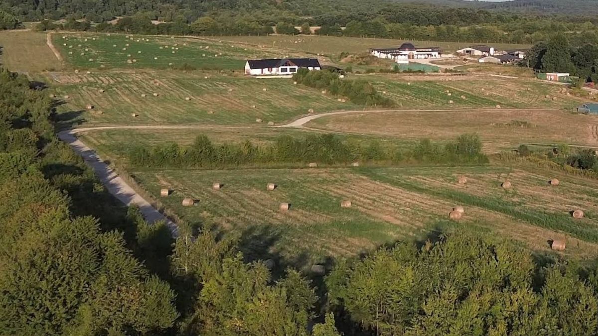 Aláírást gyűjtenek a Bakony lábánál lévő rossz út miatt (+ képek)