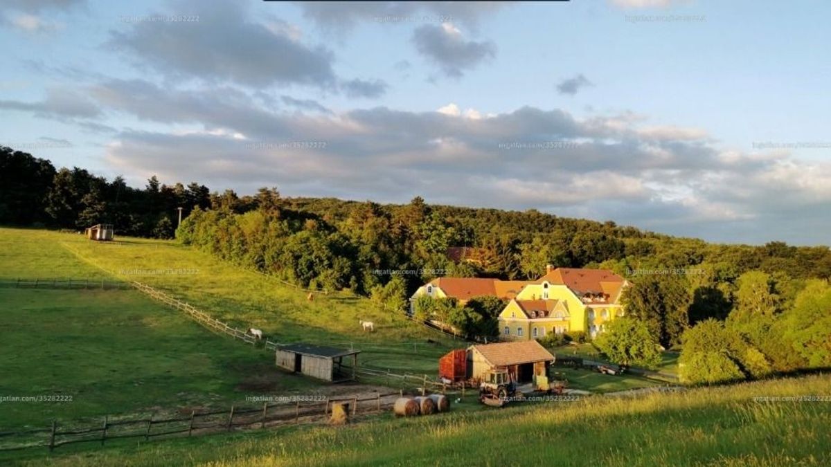 Vajon mi kap otthont a Balaton-felvidéki völgy rejtekén meghúzódó 48 szobás kastélyban? (képek)