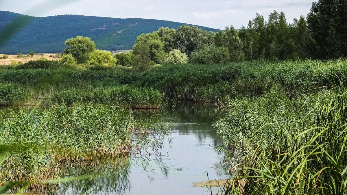 Napokig tartó kánikula jön, életbe lép a legmagasabb hőségriasztás