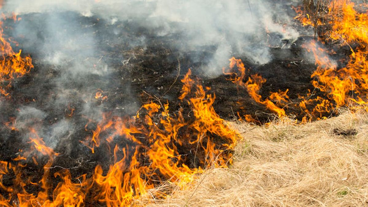 Gaz és avar gyulladt meg Várpalotánál