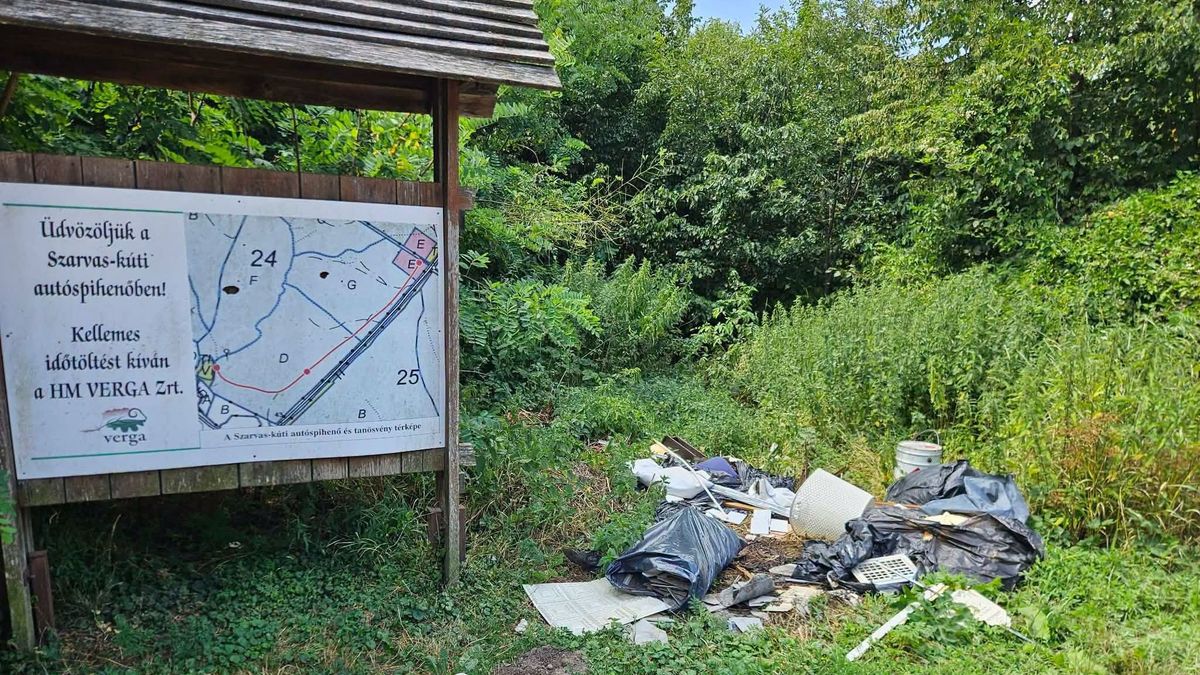 Tájékozatlanság, pofátlanság vagy mindkettő? Szemét landolt a bakonyi pihenőhelyen (képek)