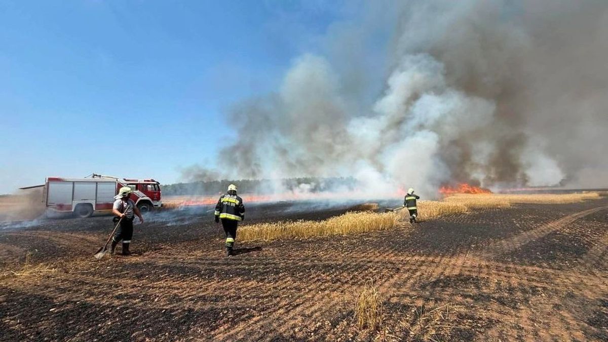 Kigyulladt a tarló Csögle mellett, az erdőre is átterjedtek a lángok