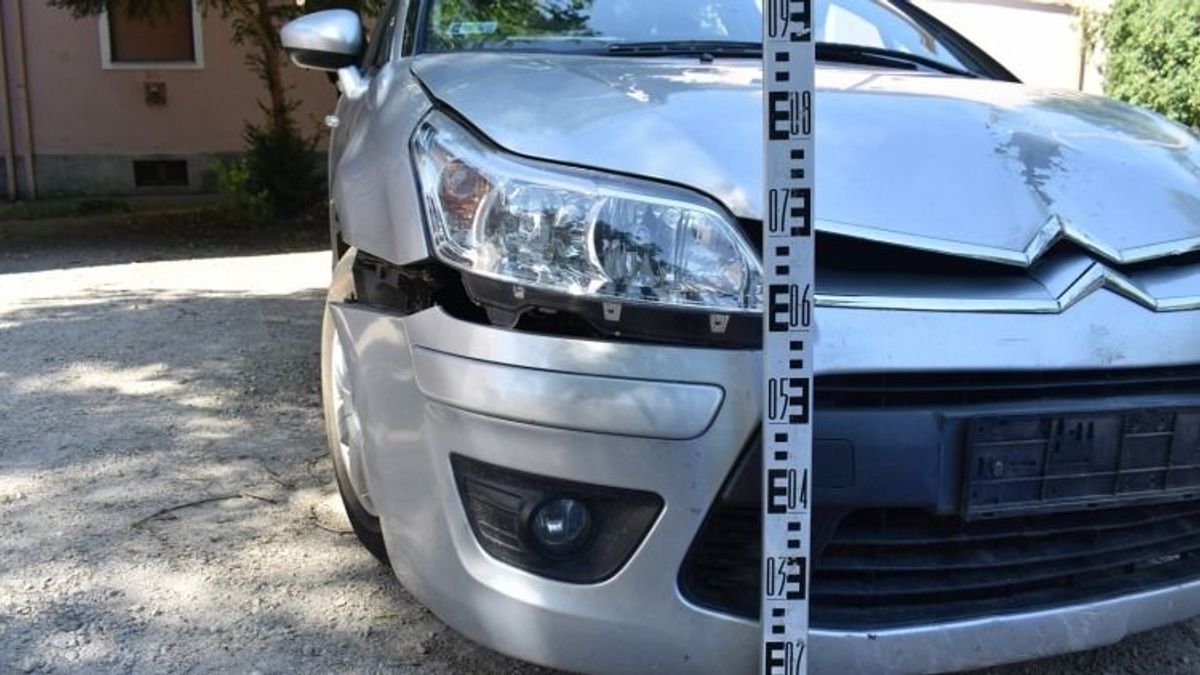 Egy fa állította meg az ittas pápai sofőrt