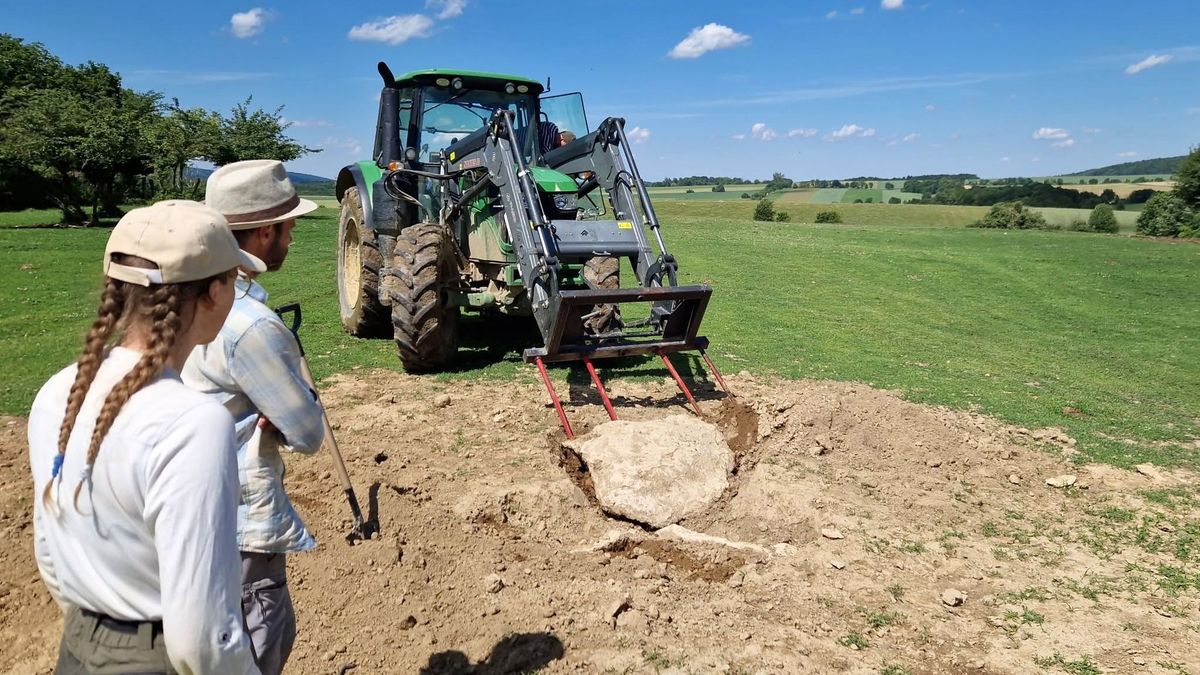 Traktoros állt régésznek a Bakonyban, űrből is látszó, titokzatos ősi kőládát mozgatott (+ galéria)