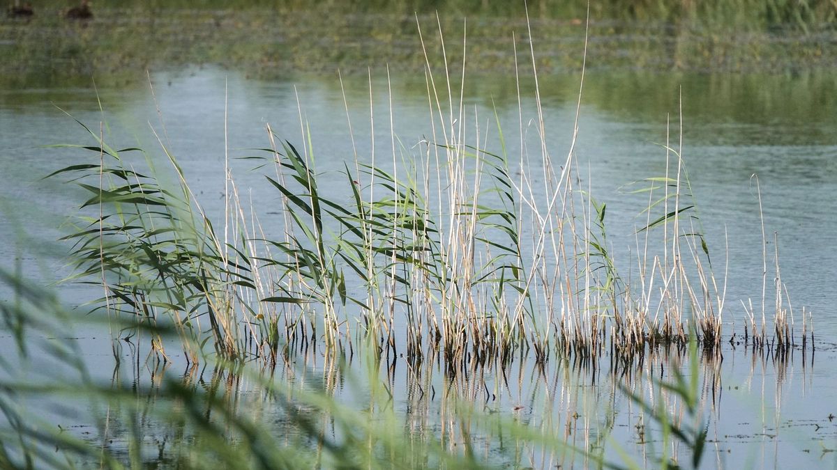 Hosszú apadás után megállt a Balaton vízszintjének csökkenése
