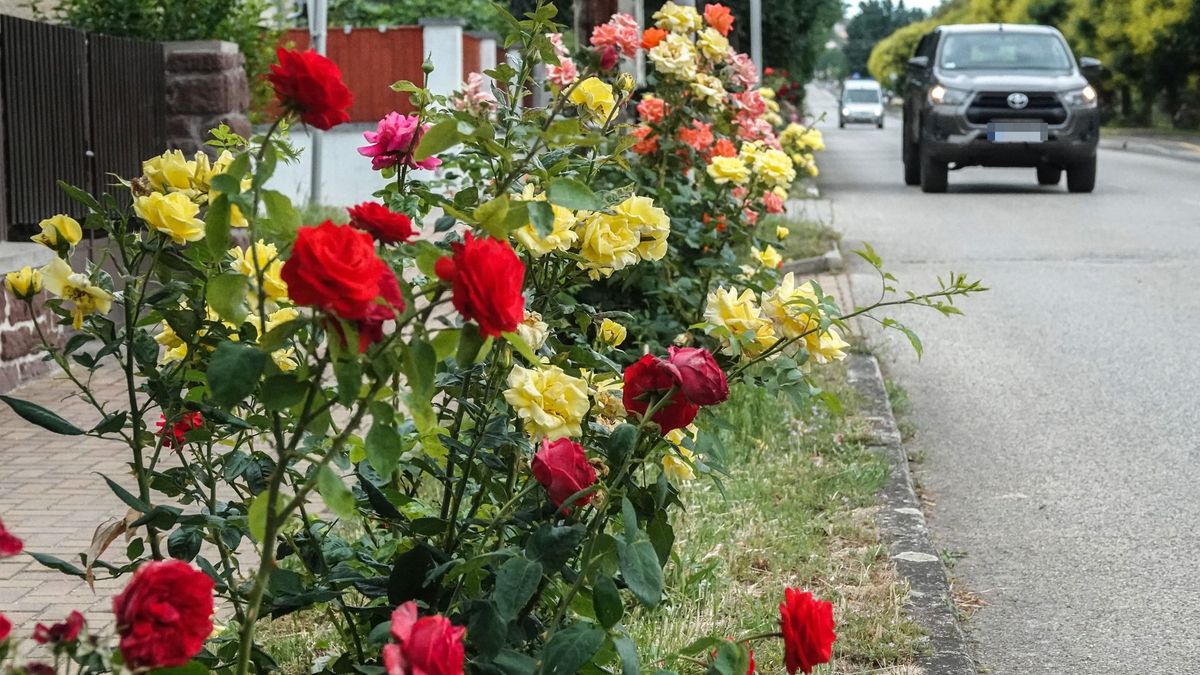 Erős széllökések után mérséklődik a légmozgás Veszprémben