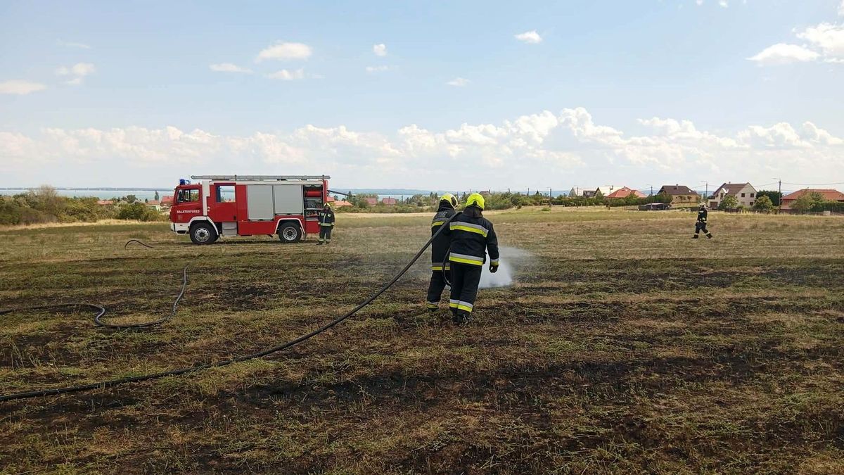Égett a tarló, két település tűzoltóit riasztották a Balatonhoz +fotók