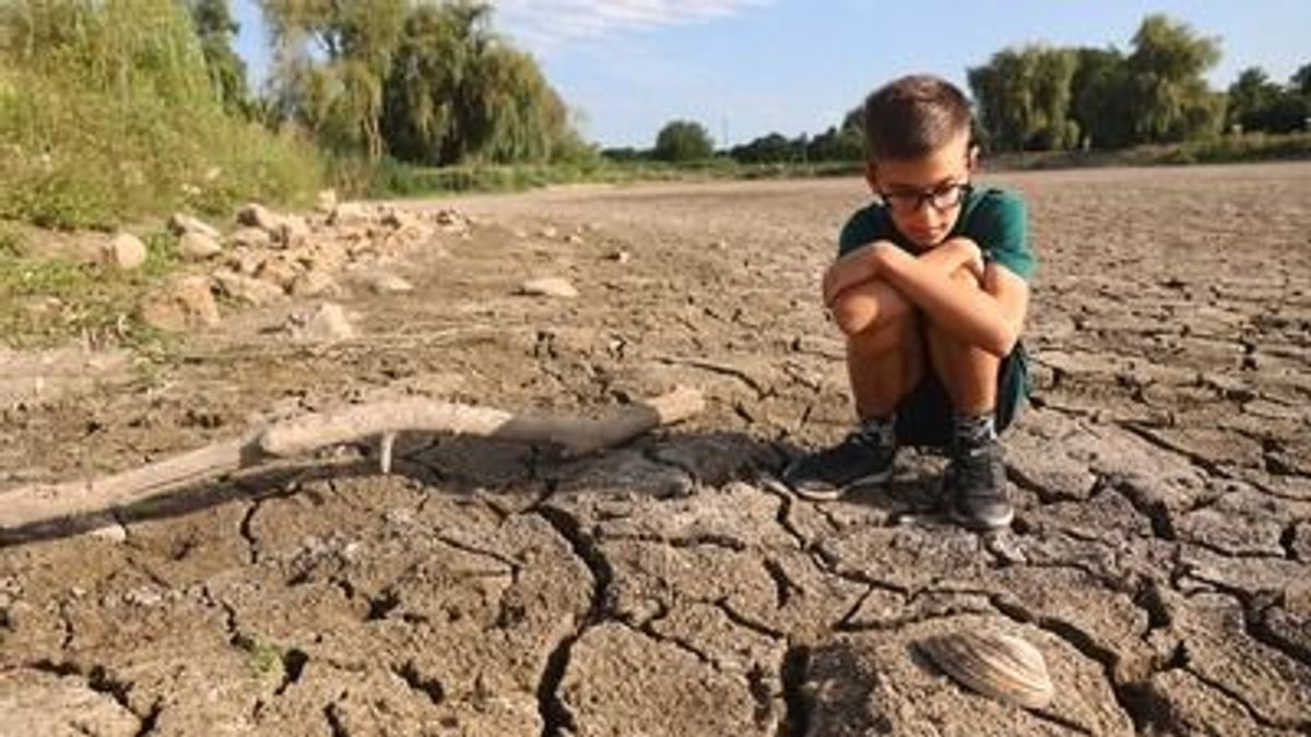 Már a Kisalföldön is súlyos az aszály