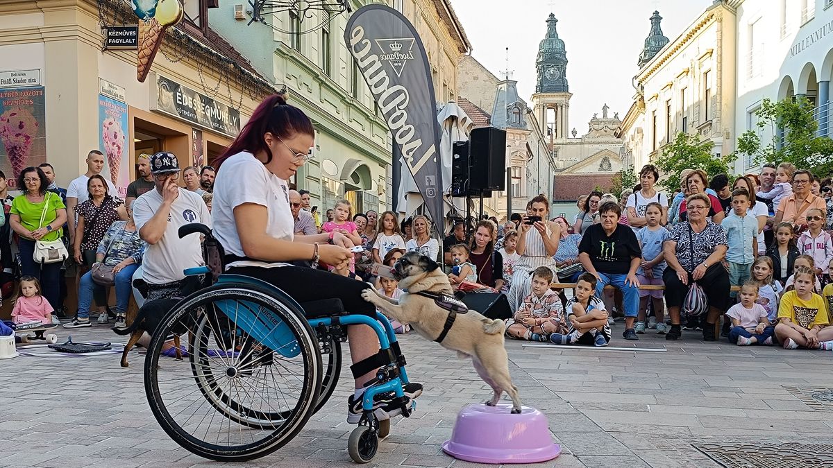A jótékonyság jegyében zajlott a Belvárosi forgatag (fotók + videók)