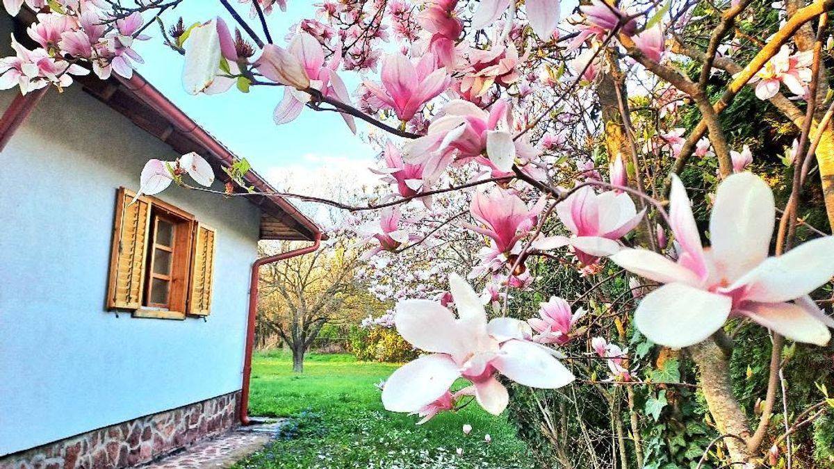 Panoráma vagy erdőszéli nyugalom? Két álomotthon a Balatonnál (+fotók)