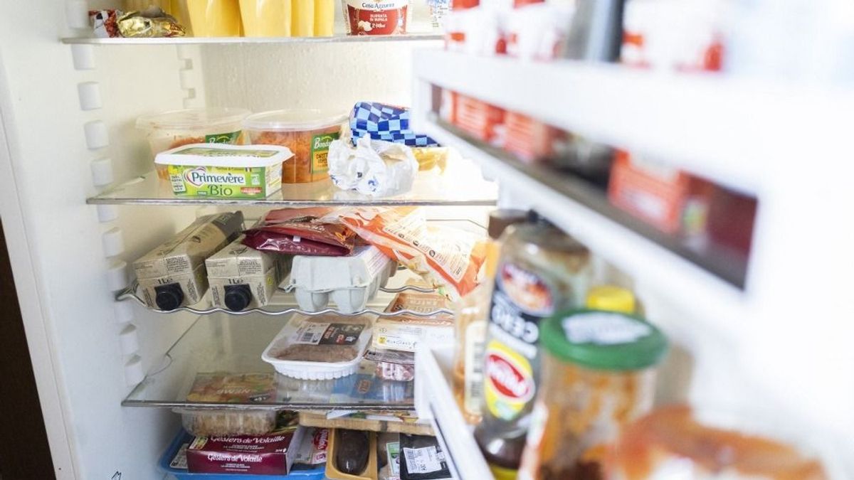 Hatvan éve már kitalálták, amit a mai hűtőkben hiába keresünk - de miért?