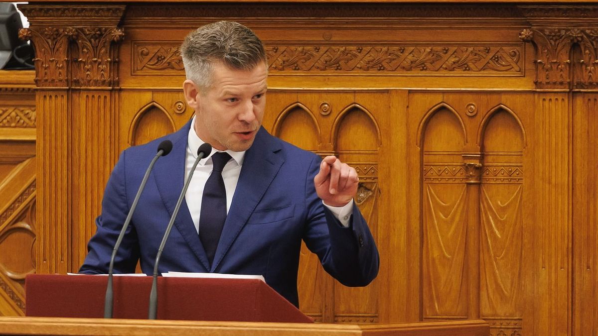 Jogvédő szervezetek bírálják az alaptörvény módosításának tiszás tervezetét