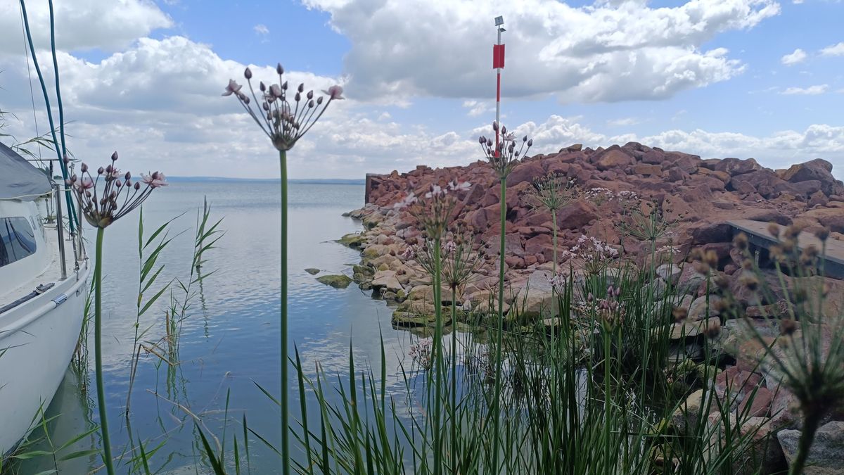 Pálköve, ahol megáll az idő – A Balaton egyik legbékésebb rejtett kincsét fedeztük fel (galéria + videó)