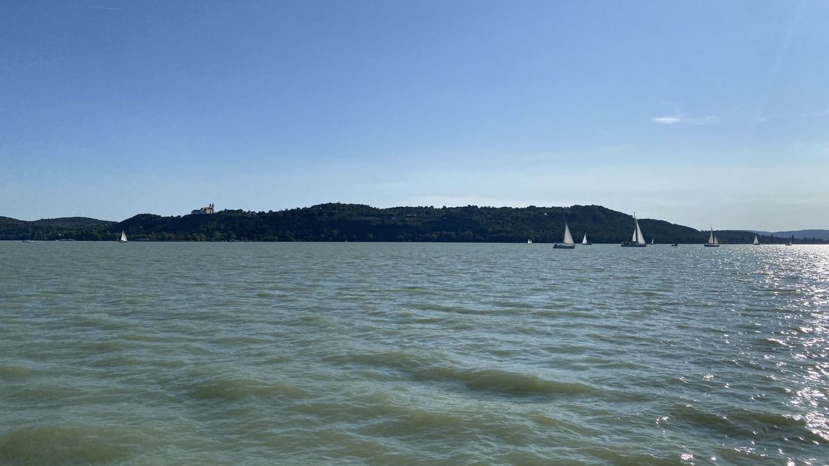 Egyre gyakoribb egy különös fertőzés a Balatonban, a klímaváltozás állhat a hátterében