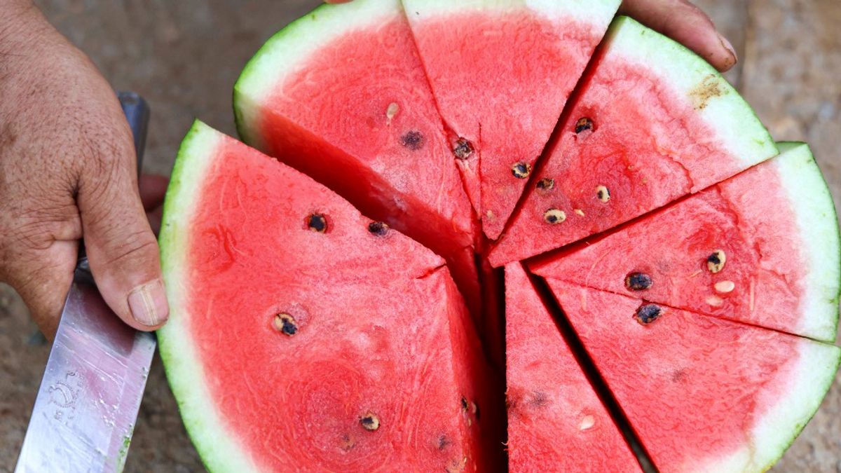 Összeomlás a dinnyepiacon: a termelők már a megélhetésüket is elveszíthetik