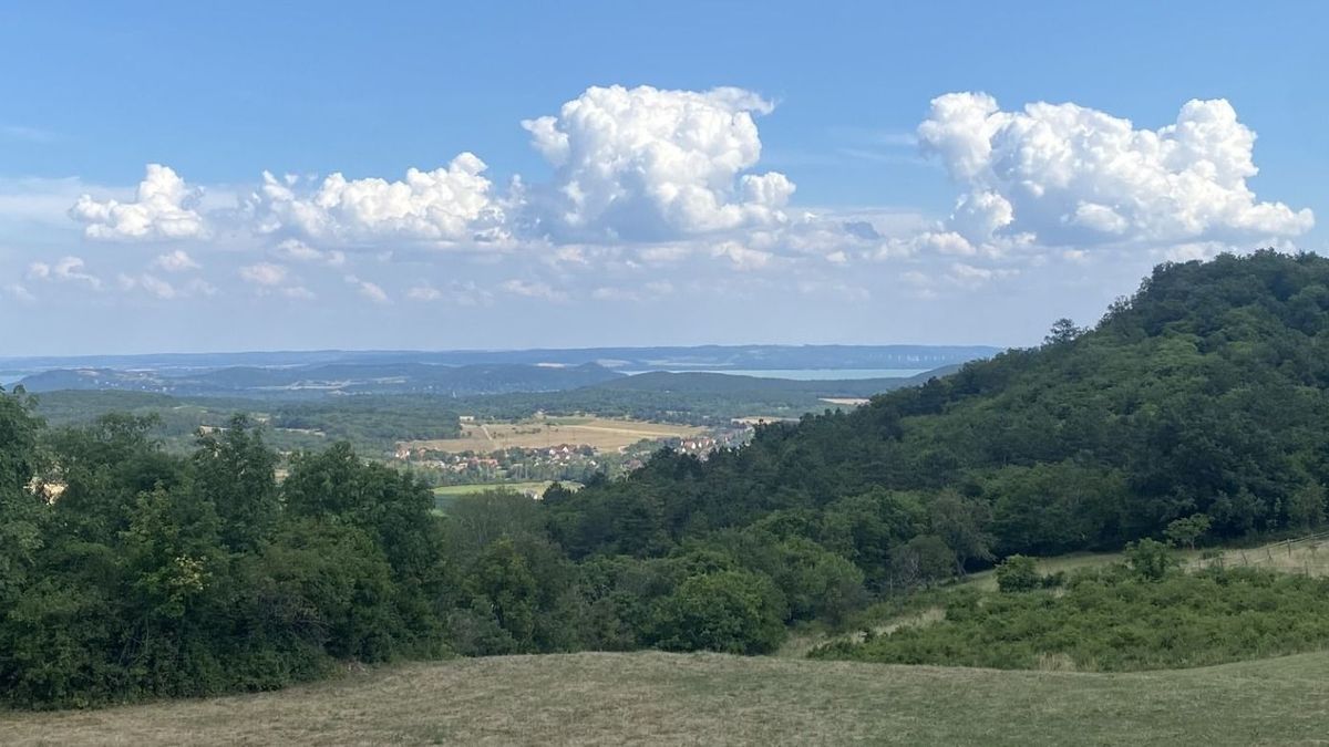 Több mint 2700 hektáros vadászterület jövőjéről döntenek a Balatonnál