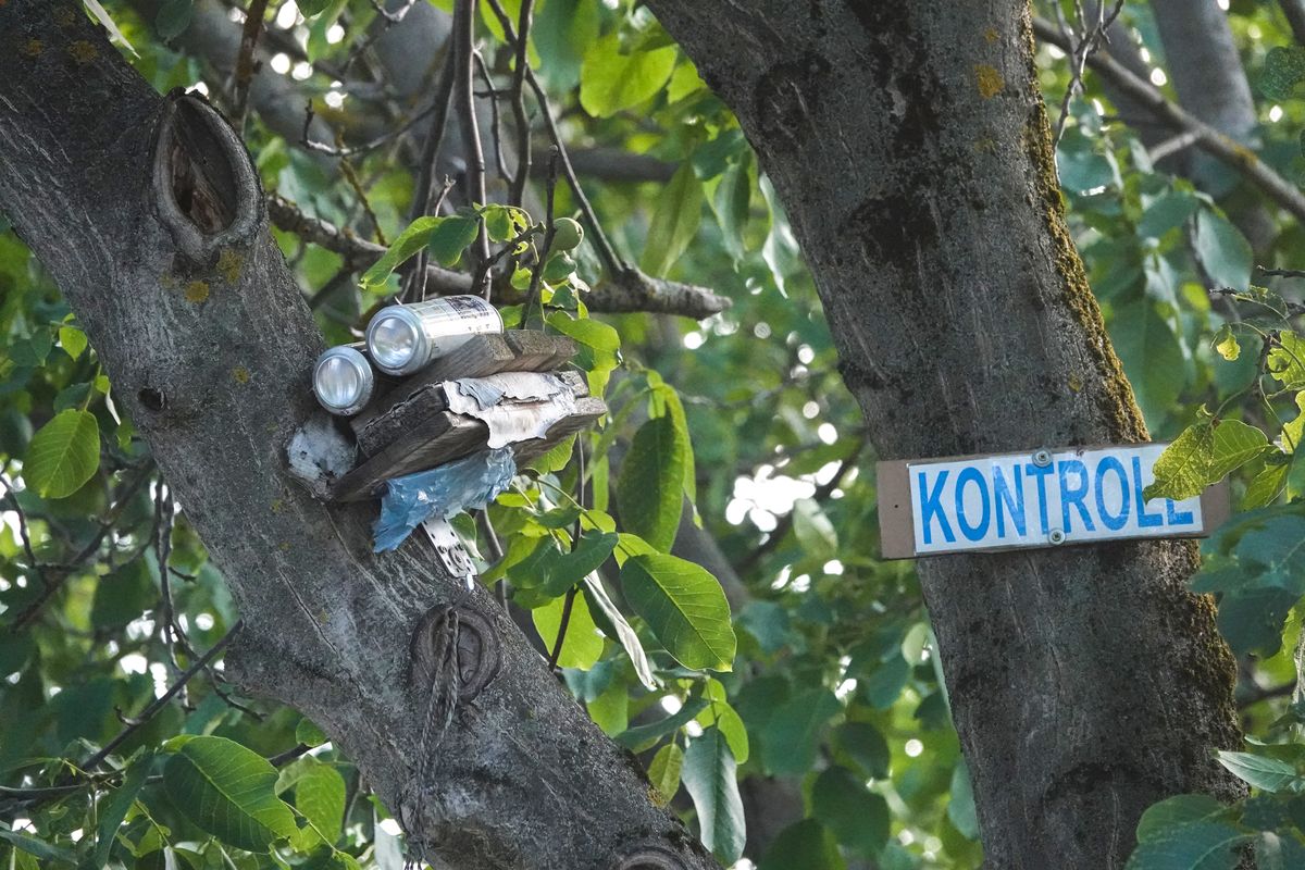 Újabb kamu traffipax: a fára erősített, házilag barkácsolt szerkezet sebességmérőre emlékeztet Fotó: Fülöp Ildikó/Napló